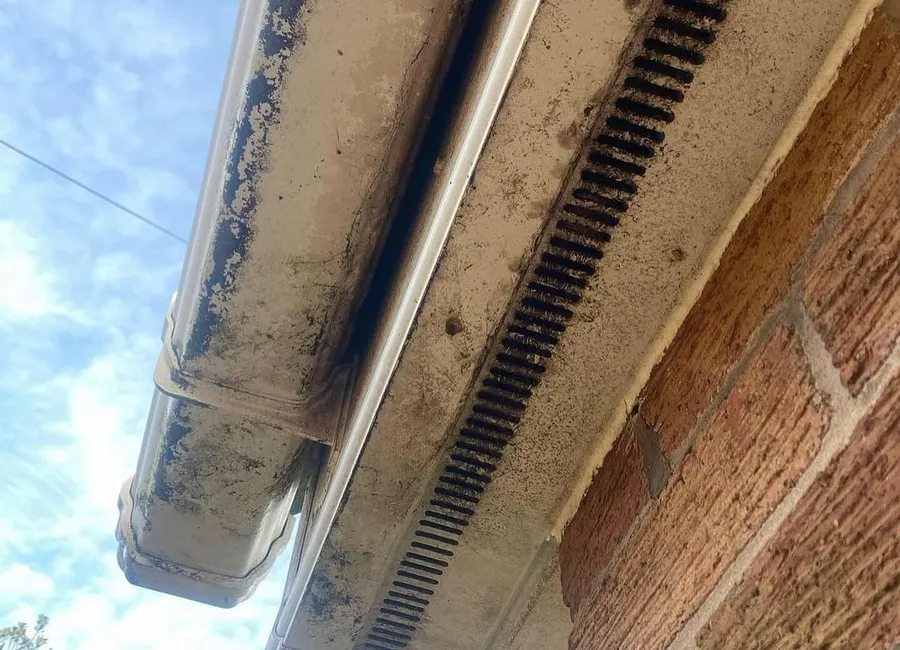 Gouttière et sous-face noircies par l'eau, trace d'infiltration visible depuis le sol